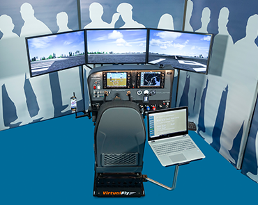 VirtualFly Simulators