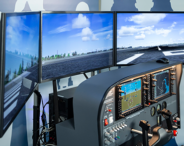 VirtualFly Simulators