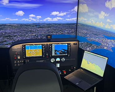 VirtualFly Simulators